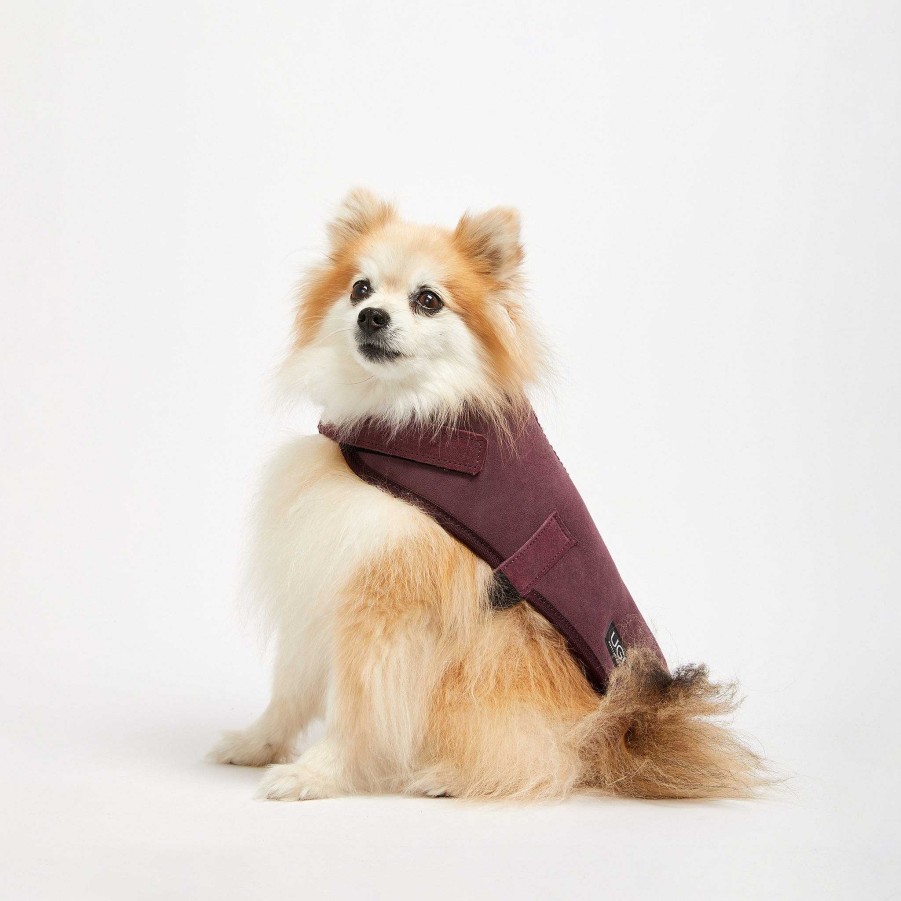 Accessories UGG Since 1974 Dog Coats | Sheepskin Dog Jacket